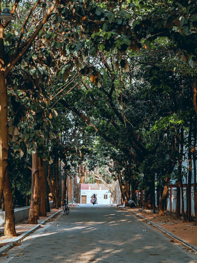 Photo by Vedang Tandel a person riding a motorcycle down a tree lined street