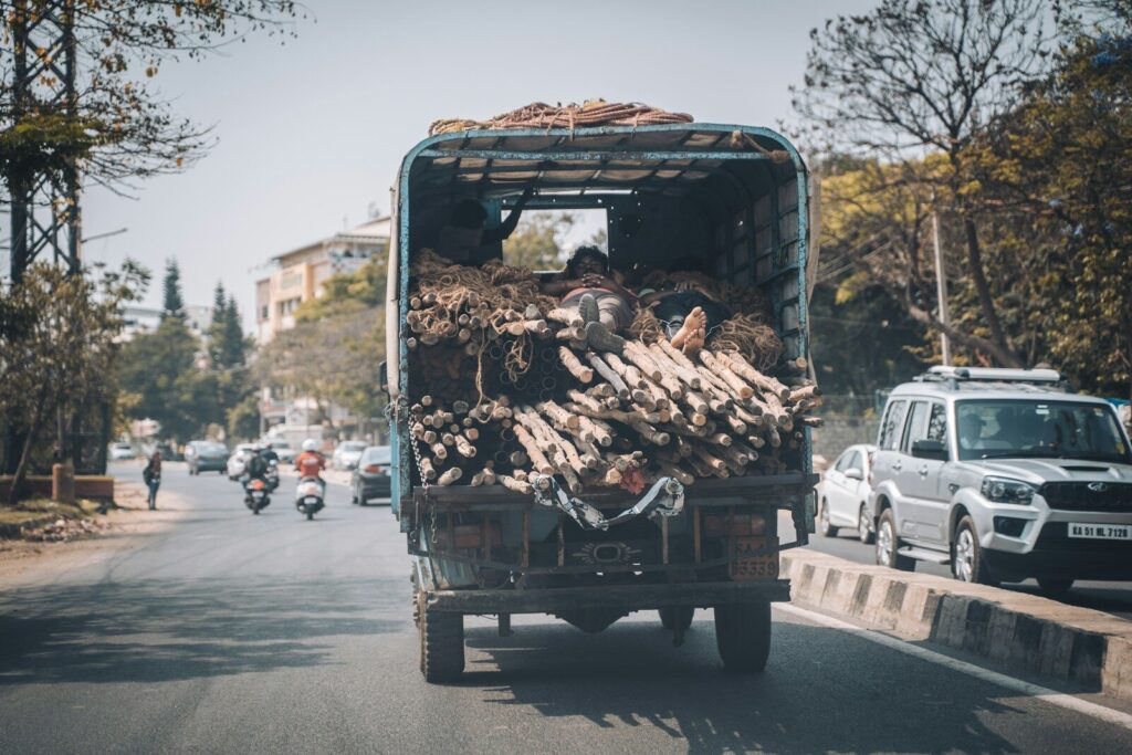Photo by Francois Le Nguyen brown dried leaves on black truck